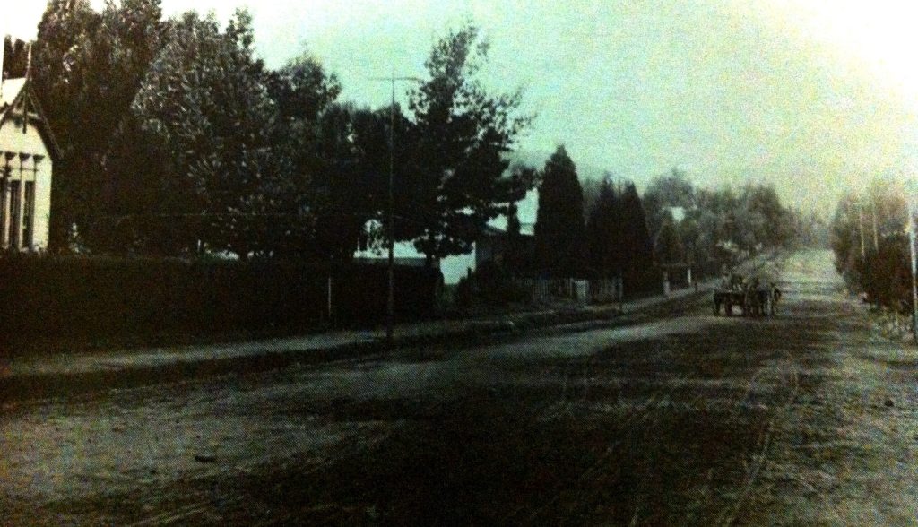 Saratoga Avenue early 1890s looking East