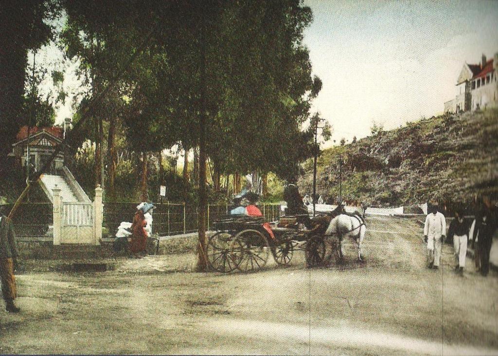 Looking north up Harrow Road 1900s