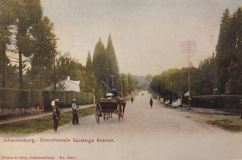 Saratoga Avenue 1900s