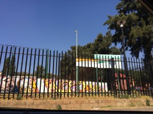 Troyeville Park now named David Webster Park