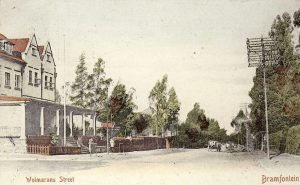 Wolmarans Street early 1900s and an example of what Wanderers View was 