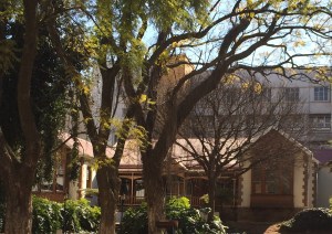 Hotel school house on smith Street and the only remaining 'Wanderers view' house
