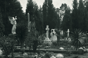 Braamfontein cemetary late 1890