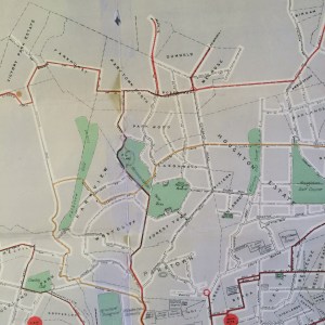 Northern suburbs