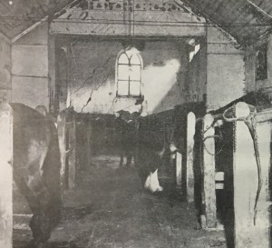 Inside of the Presbytery showing horse stalls where pews once were 