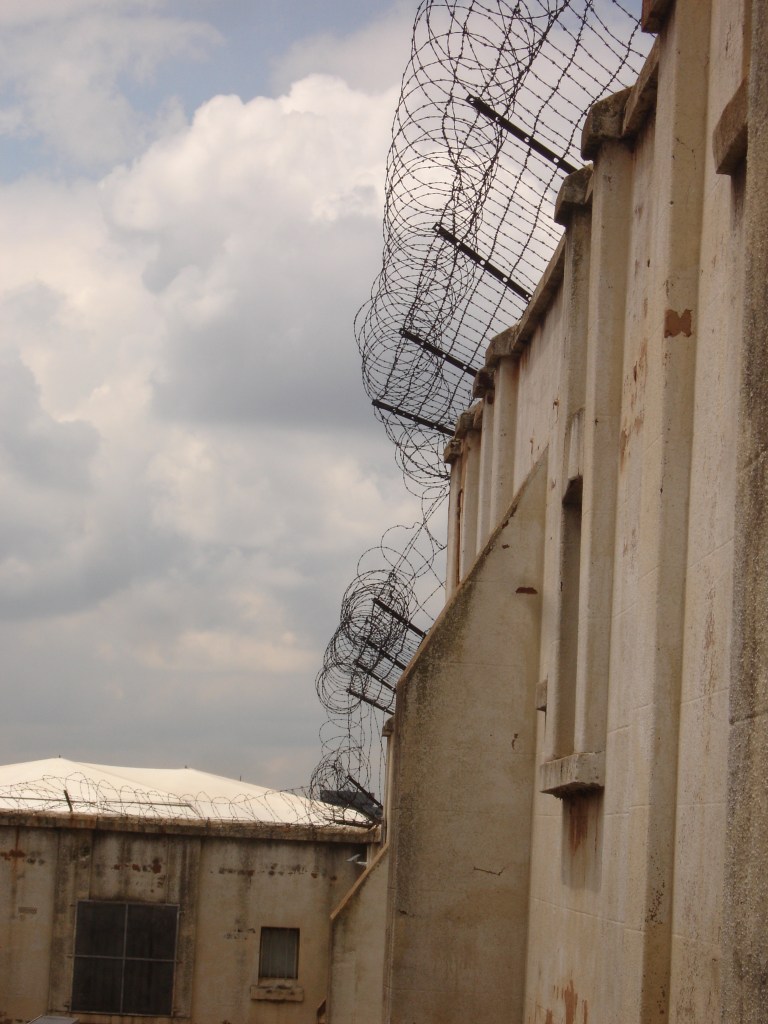 Inside of the fort 2011