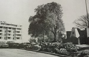Beacon from 1966