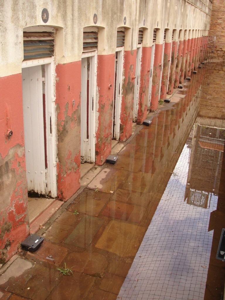 Inside the fort 2011
