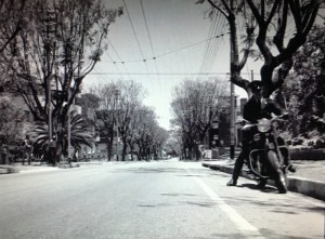 Looking down Tyrwhitt Avenue from close to the old Rosebank Hotel