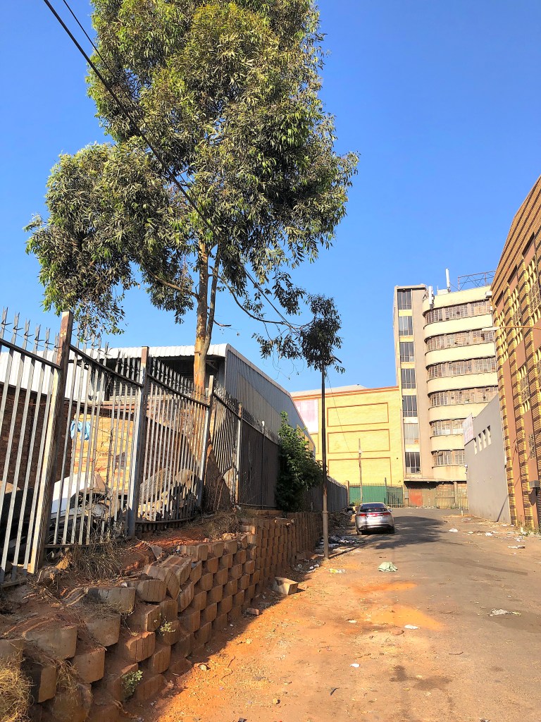 Central Road Forsdburg