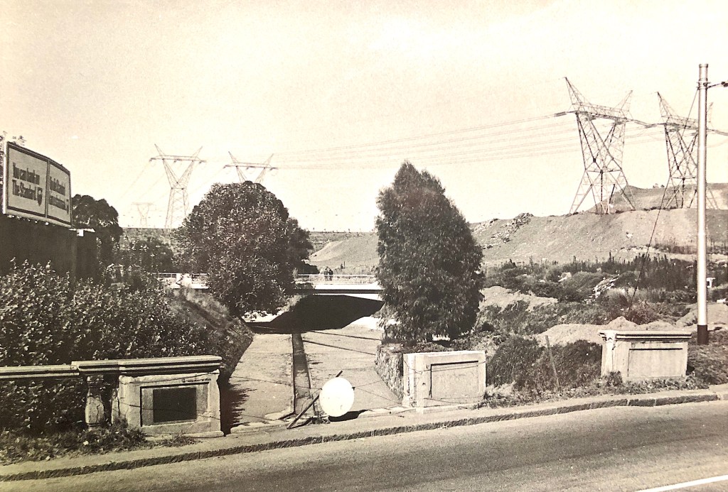 Forsdburg spruit 1973